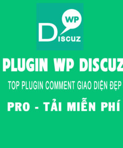 Chia sẻ Plugin WpDiscuz Tải từ google drive hình 2