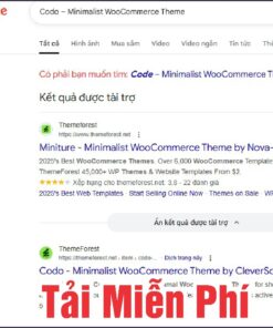 Chia sẻ Them Wordpress Codo