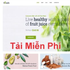 Tải download Theme cửa hàng thực phẩm cho WooCommerce WordPress miễn phí - Google drive