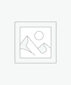 Nơi nhập dữ liệu